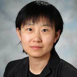 Lei Huo